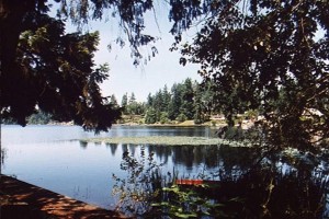 hickslake3
