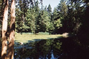 hickslake4