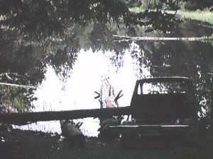 lakelois2