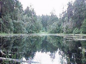 lakelois3