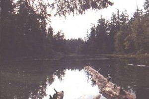 lakelois_waterfront