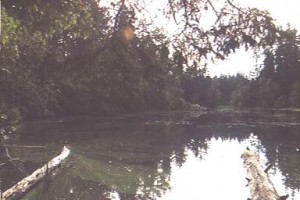 lakelois_waterfront2